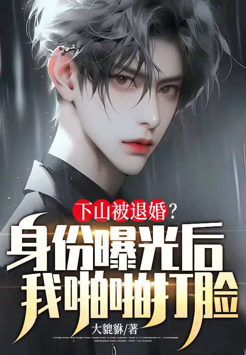 下山被退婚?身份曝光后我啪啪打脸 封面