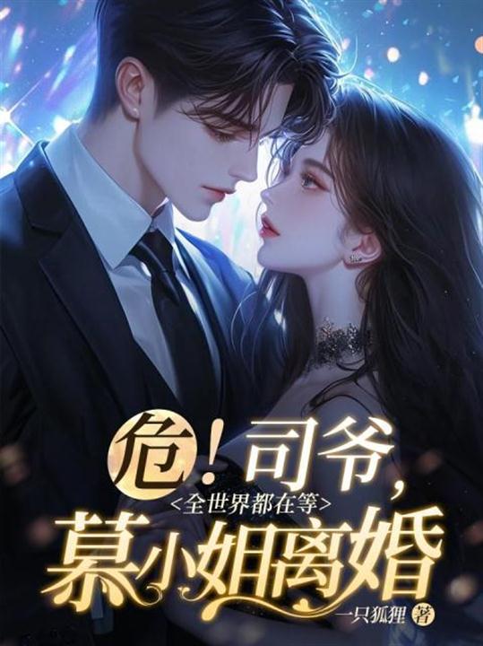 危！司爷，全世界都在等慕小姐离婚 封面