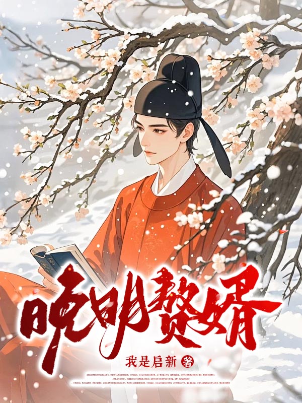 晚明赘婿 封面