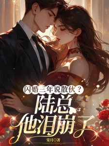 闪婚三年说散伙?陆总他泪崩了 封面