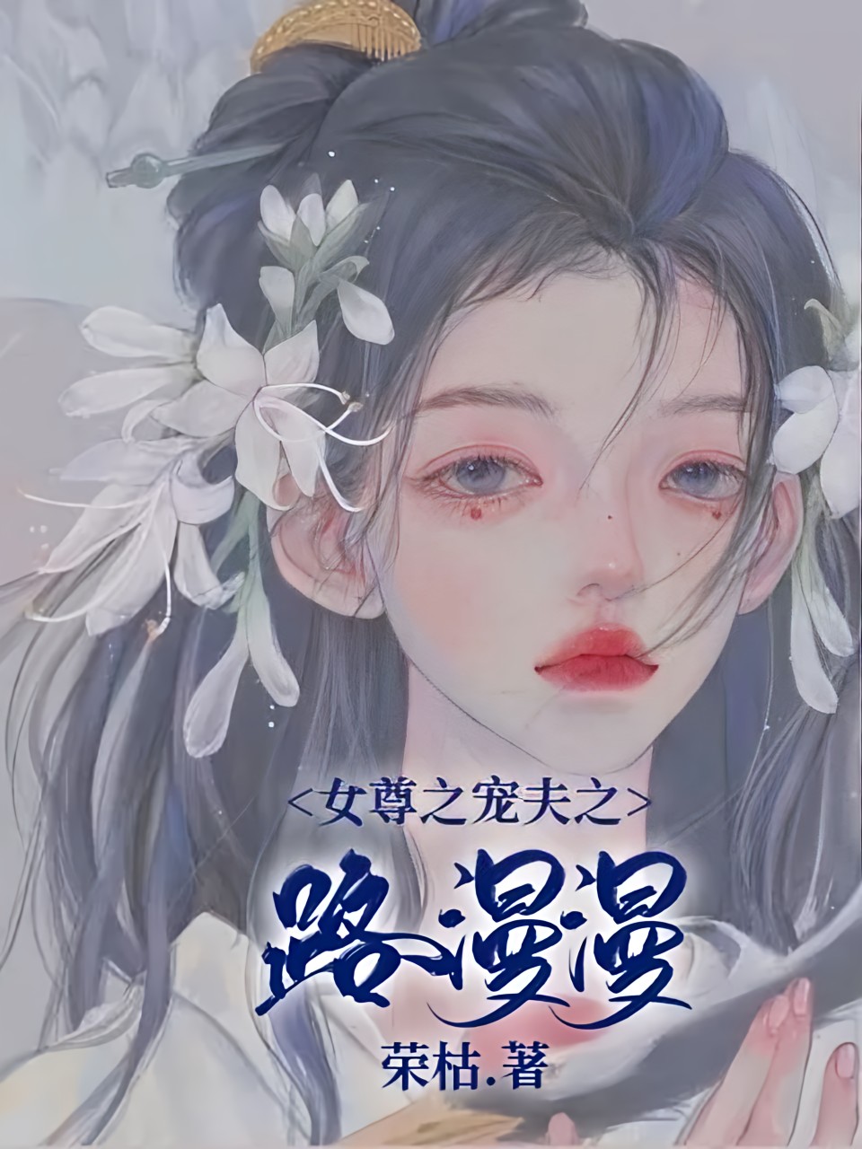 女尊之宠夫之路漫漫 封面