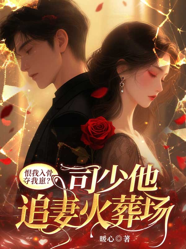恨我入骨夺我崽？司少他追妻火葬场！ 封面