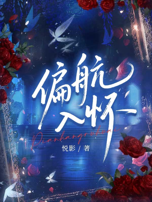 偏航入怀 封面