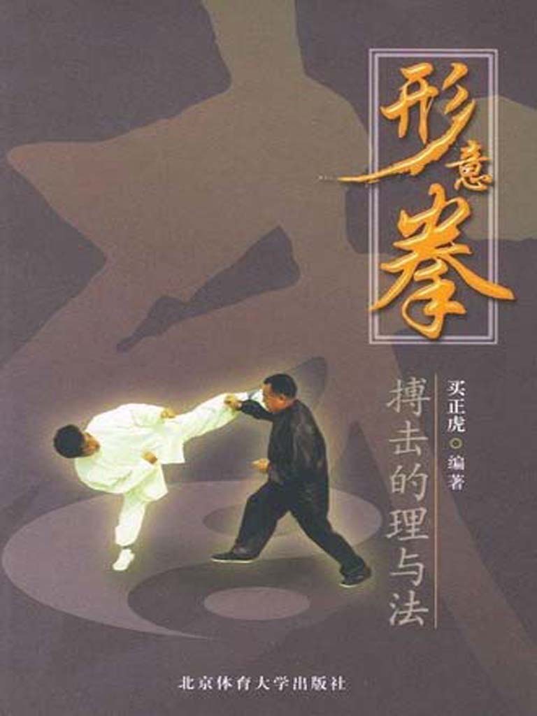 2． 形意拳、戴氏形意拳、心意六合拳和少林心意把_形意拳搏击的理与法