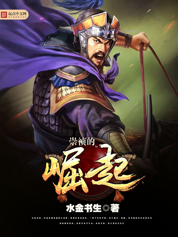 崇祯的崛起 封面