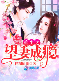 重生之望妻成瘾 封面