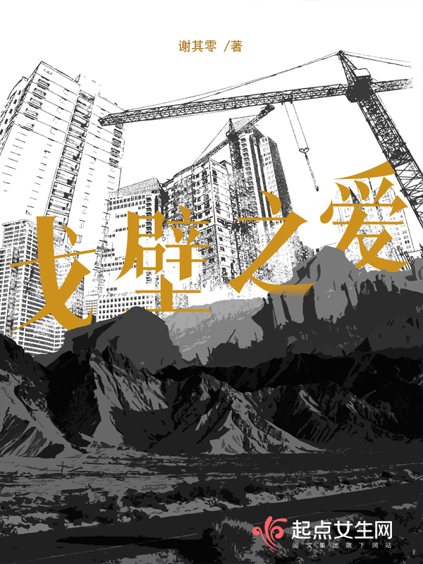 戈壁之爱 封面