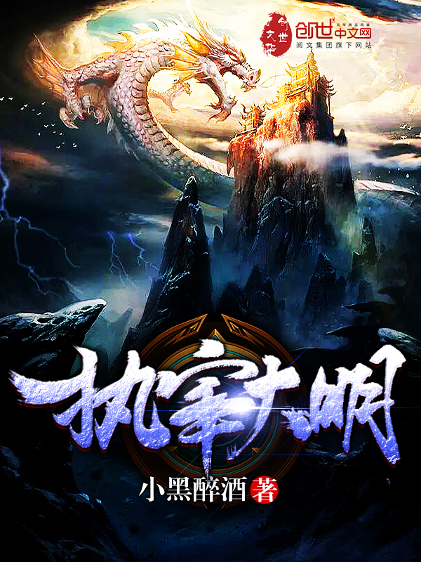 执宰大明 封面
