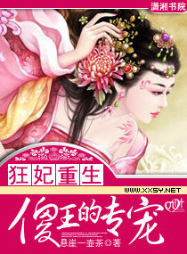 傻王的专宠 封面