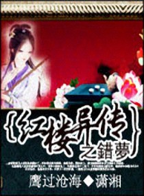 红楼异传之错梦 封面