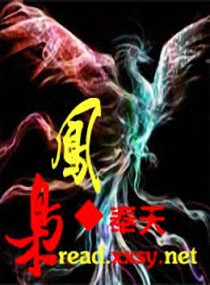凤枭 封面