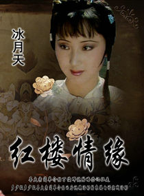 红楼情缘 封面