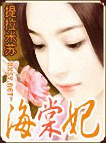 王爷夺爱:海棠妃 封面