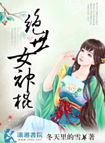 神偷国舅不安乐 封面