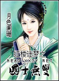 红楼迷梦之国士无双 封面