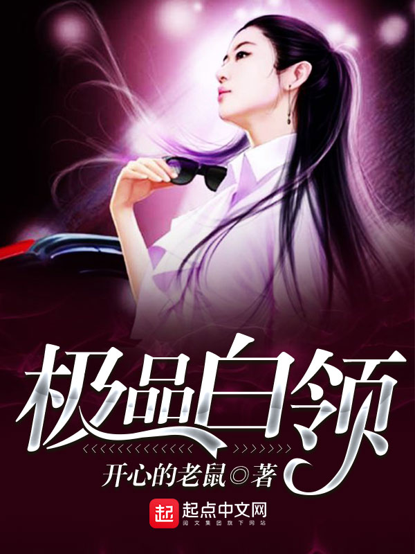 极品白领 封面