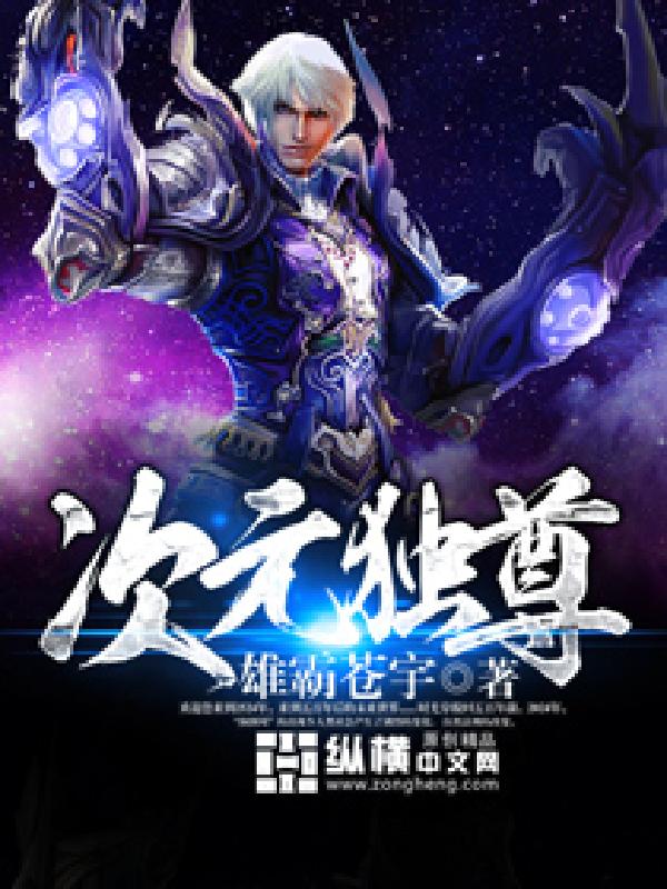 次元独尊 封面