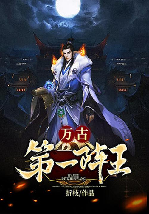万古第一阵王 封面