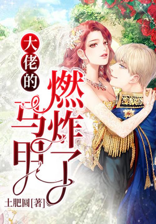 大佬的马甲燃炸了 封面