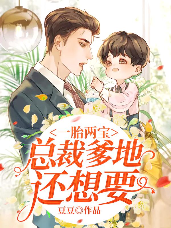 一胎两宝：总裁爹地还想要 封面