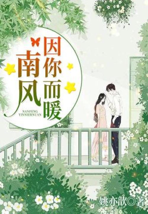 南风因你而暖 封面