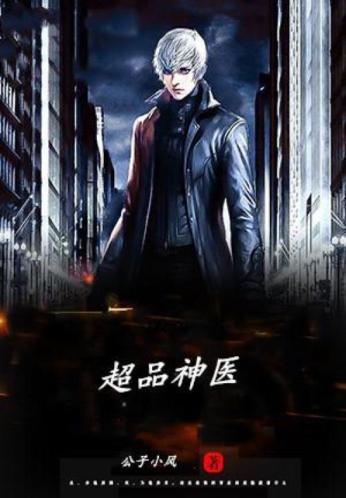 超品神医 封面