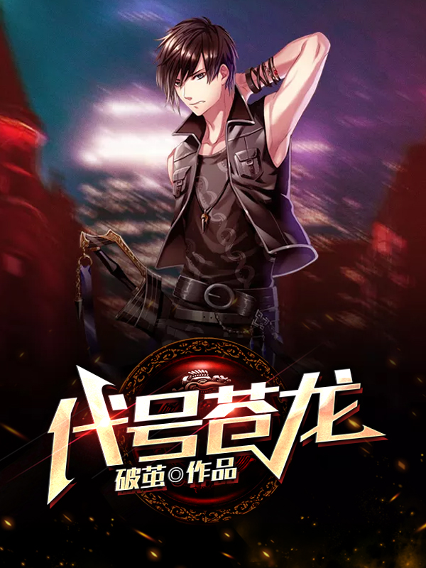 代号苍龙 封面