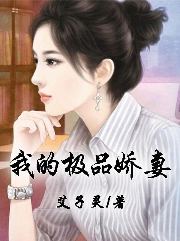 我的极品娇妻 封面