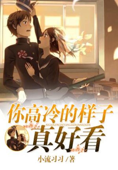 你高冷的样子真好看 封面