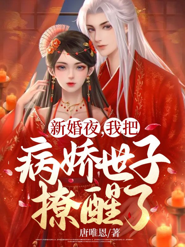 新婚夜，我把病娇世子聊撩醒了 封面