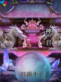 仙府神君 封面