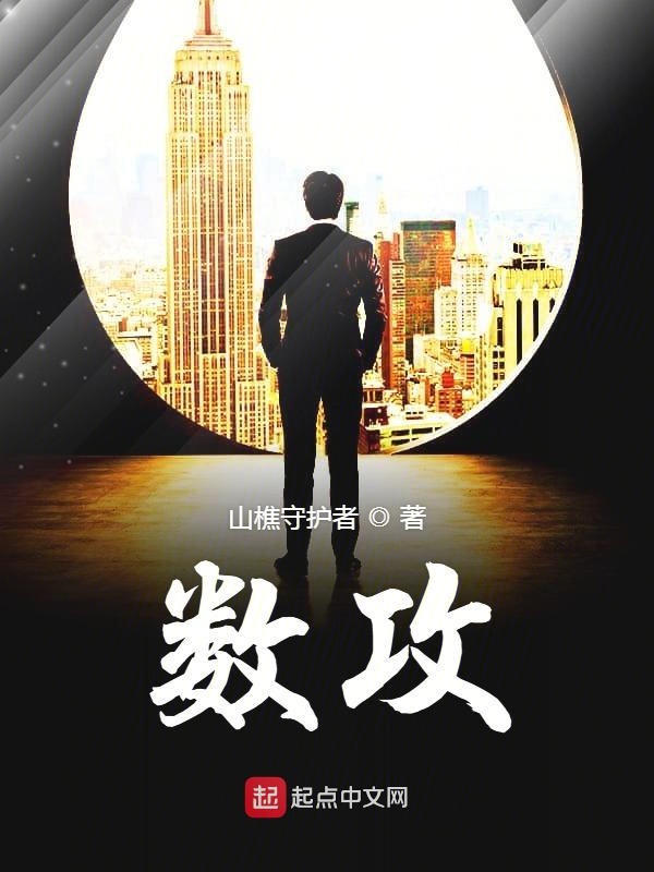 数攻小说封面