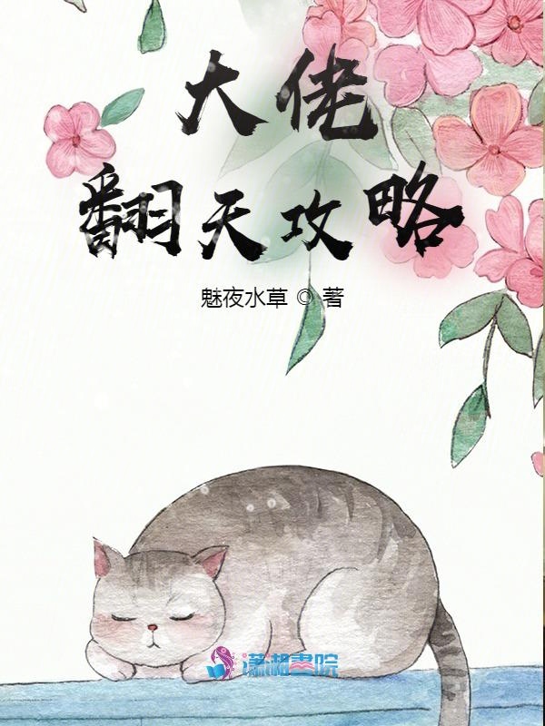 大佬翻天攻略 封面