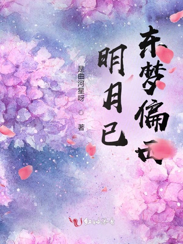 明月已东梦偏西 封面