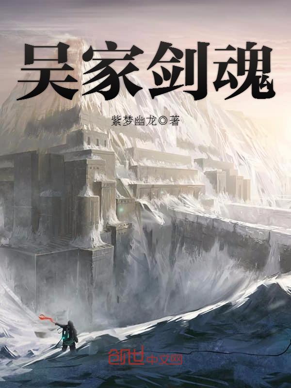 吴家剑魂小说封面