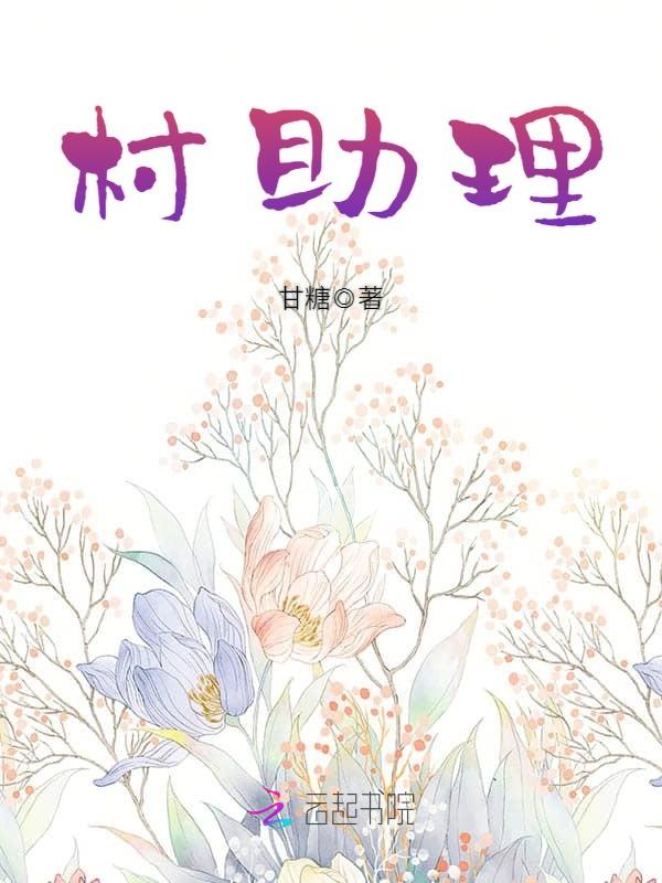 村助理