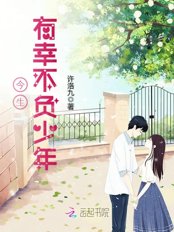今生有幸不负少年