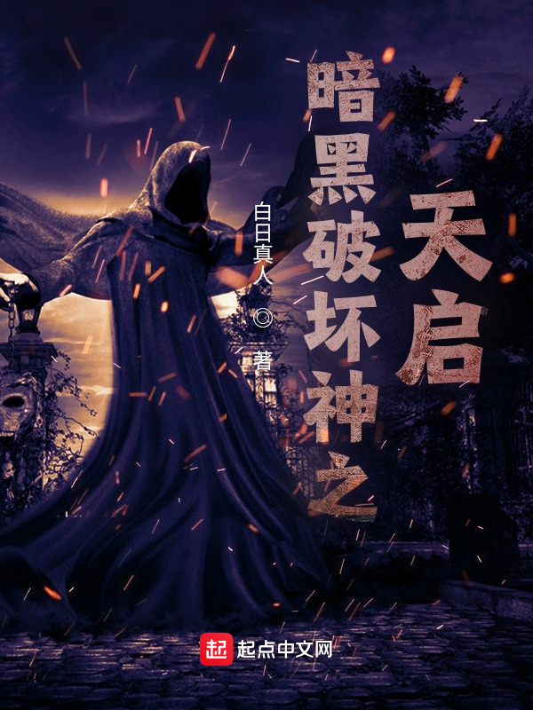暗黑破坏神之天启 封面