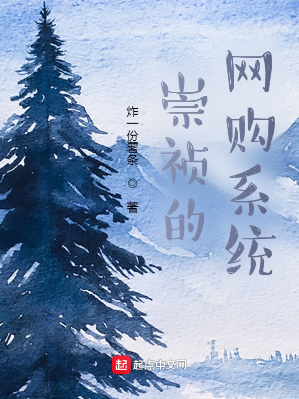 崇祯的网购系统 封面