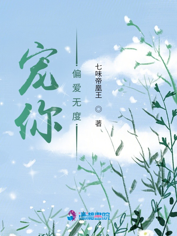 宠你偏爱无度 封面
