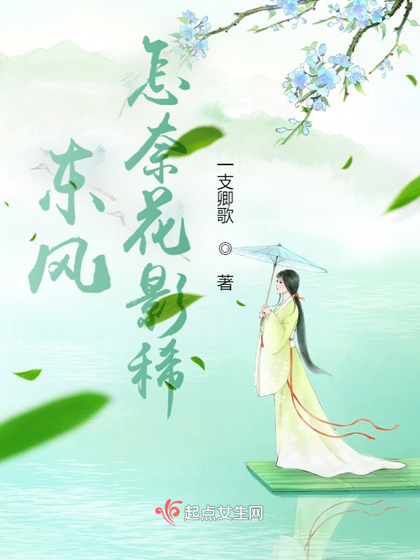 东风怎奈花影稀 封面