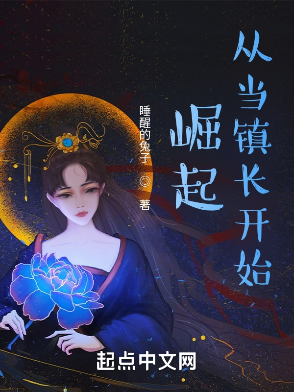 崛起从当镇长开始 封面