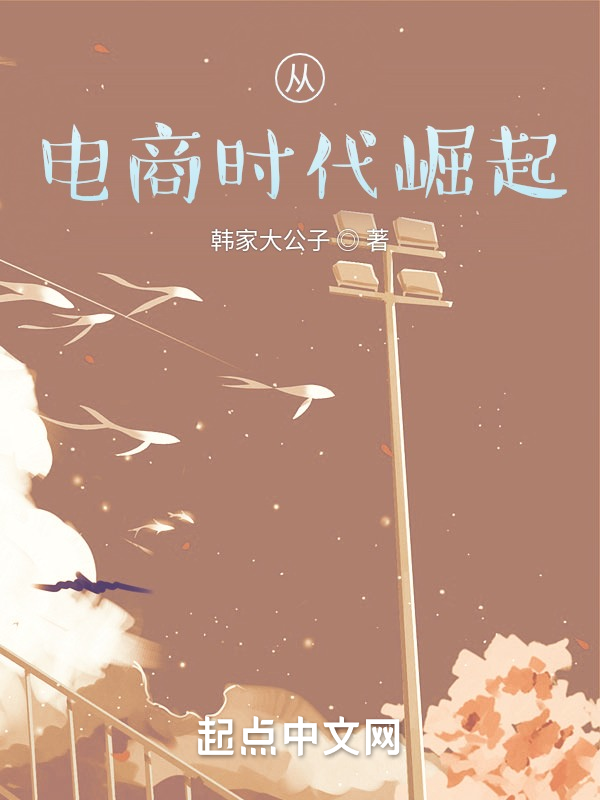 从电商时代崛起 封面