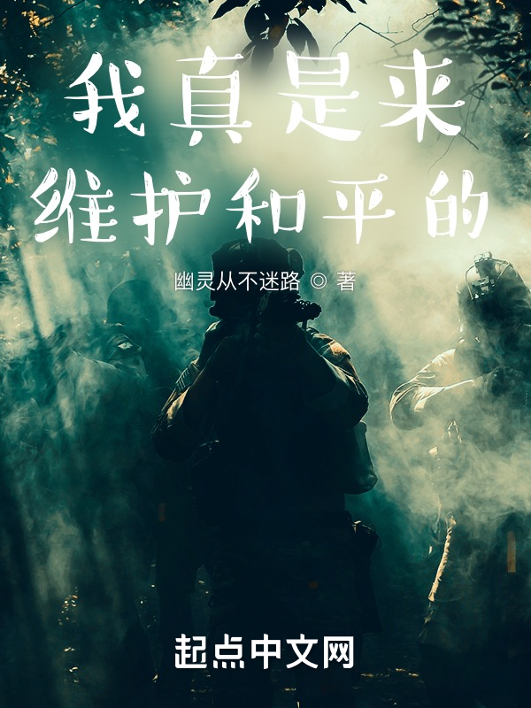 我真是来维护和平的 封面