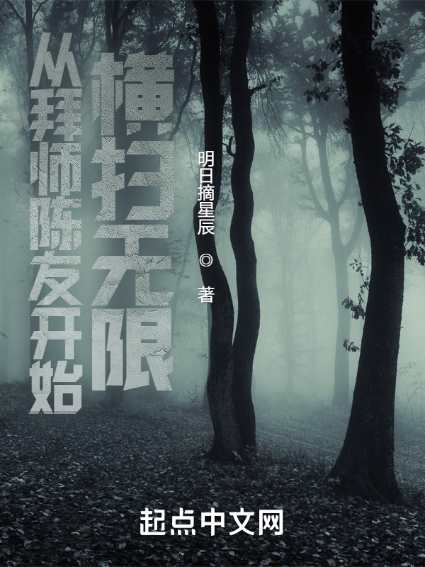 从拜师陈友开始横扫无限 封面
