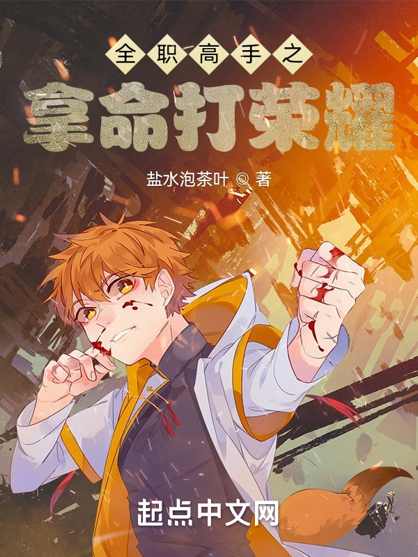 全职高手之拿命打荣耀 封面