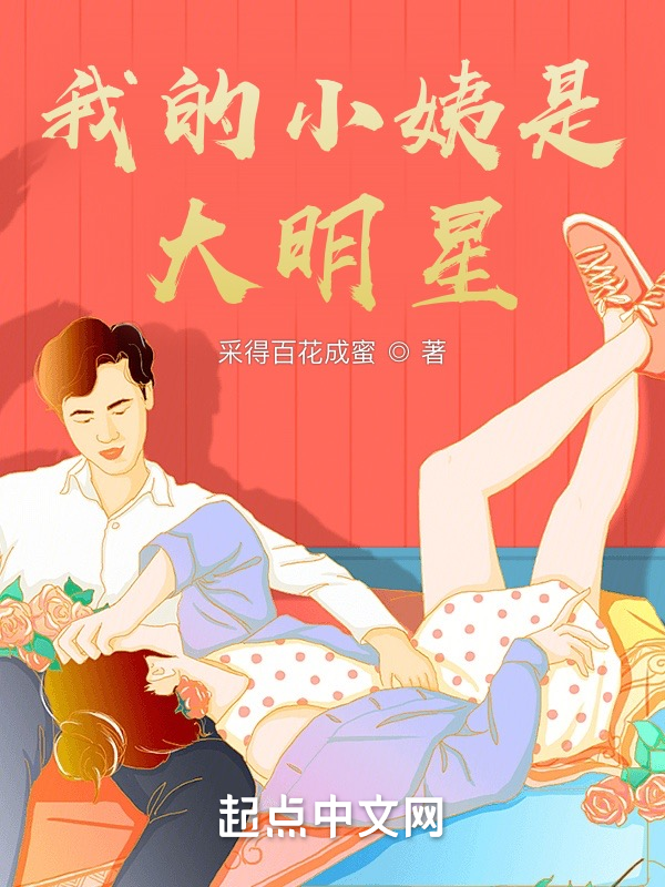 我的小姨是大明星 封面