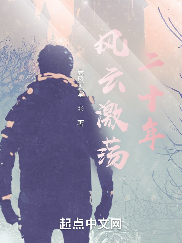 风云激荡二十年 封面