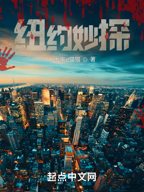 纽约妙探 封面