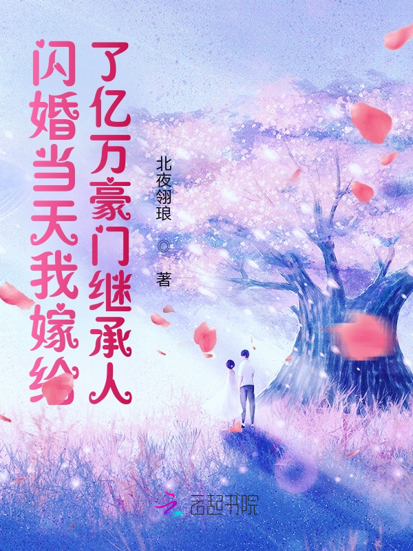 闪婚当天我嫁给了亿万豪门继承人 封面